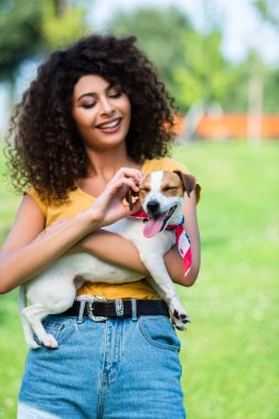 Yazlık kıyafetli neşeli, esmer kadın parkta Jack Russell Terrier köpeğini okşuyor.