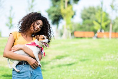 Yazlık kıyafetli heyecanlı kadın parkta Jack Russell Terrier köpeğine sarılıyor.
