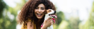 Kıvırcık kadının Jack Russell Terrier köpeğini tutarken kameraya bakıp gülüşünün panoramik görüntüsü.