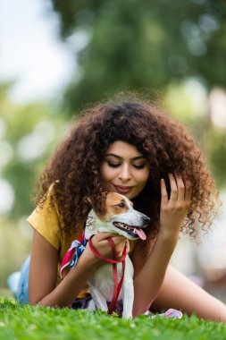 Genç bir kadın kıvırcık saçlara dokunurken Jack Russell Terrier köpeğiyle yeşil çimlerin üzerinde yatıyor.