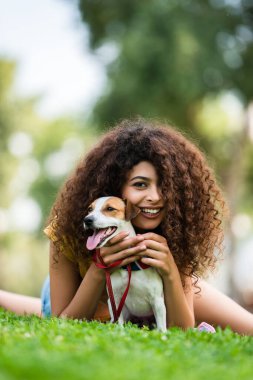 Neşeli kıvırcık kadın, Jack Russell Terrier ile çimenlikte rahatlarken kameraya bakıyor.