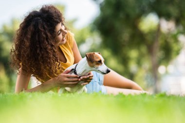 Kıvırcık kadının, Jack Russell Terrier 'la çimlerde yatarken başka tarafa bakıp güldüğü seçici odak noktası.