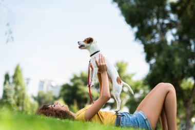 Jack Russell Terrier 'ın köpeğini parkta çimenlerde yatarken elinde tutan heyecanlı kadın yüzey manzarası.