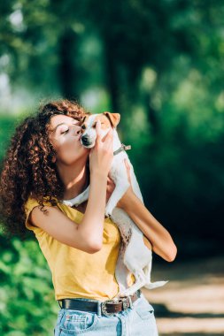 Yazlık kıyafetli genç kadın parkta Jack Russell Terrier 'ı öpüyor.