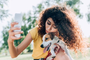 Esmer, kıvırcık kadın parkta cep telefonuyla selfie çekerken Jack Russell Terrier köpeğine sarılıyor.