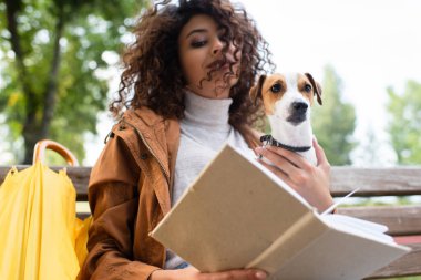Kıvırcık kadının parkta kitap okurken Jack Russell Terrier köpeğini tutuş açısı düşük.