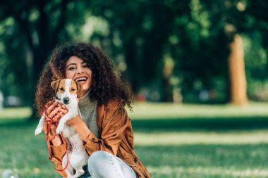 Yağmurluk giymiş genç bir kadın Jack Russell Terrier 'ı tutuyor ve parktaki kameraya bakıyor. 