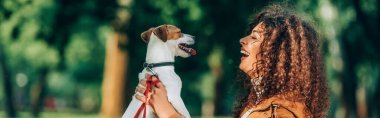 Jack Russell Terrier 'ı parkta tutan kıvırcık kadının panoramik oryantasyonu 