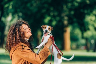 Yağmurluk giymiş genç bir kadın, parkta dilini dışarı çıkaran Jack Russell Terrier 'ı tutuyor. 