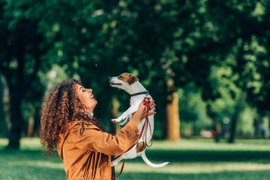 Jack Russell Terrier 'ı parkta tutan kıvırcık kadının yan görüntüsü 