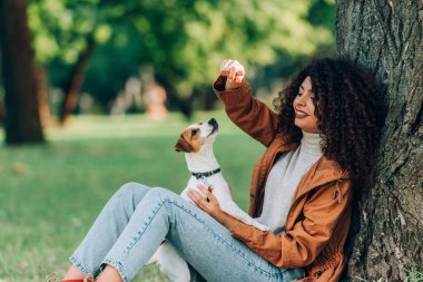 Yağmurluklu genç kıvırcık kadın parkta Jack Russell Terrier ile oynuyor. 