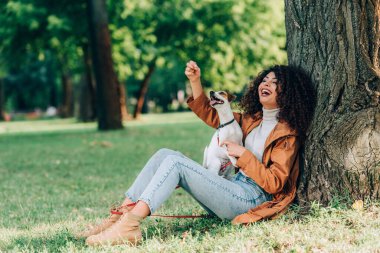 Jack Russell Terrier ile parktaki ağacın yakınındaki çimlerde oynayan heyecanlı kadının seçici odağı. 