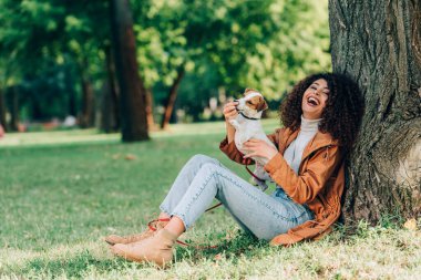 Jack Russell Terrier ile parkta oynayan, yağmurluk giymiş, gülen kadının seçici odağı. 