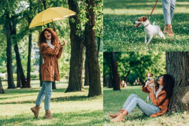 Yağmurluk giyen ve parkta Jack Russell Terrier ile oynayan kıvırcık kadın kolajı. 