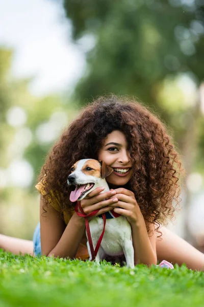 Alegre Rizado Mujer Mirando Cámara Mientras Relaja Con Jack Russell — Foto de Stock