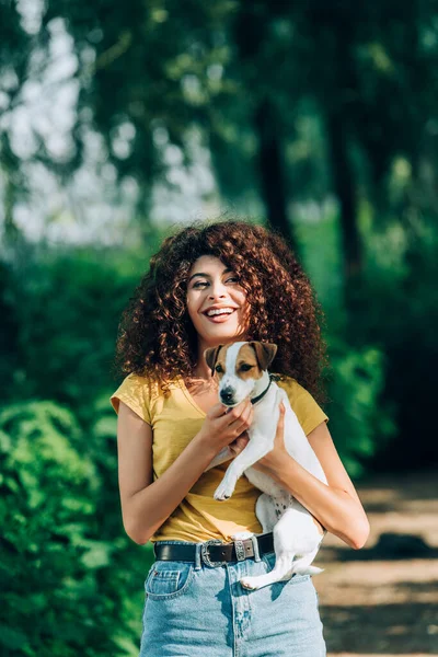 Femeie Râzând Uitându Cameră Timp Ține Jack Russell Terrier Câine — Fotografie, imagine de stoc