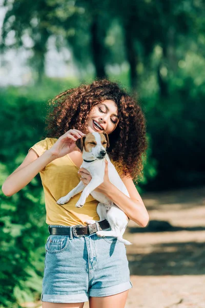 Alegre Mujer Verano Traje Acariciando Jack Russell Terrier Perro Parque — Foto de Stock