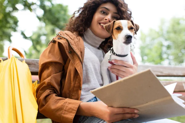 Kitap ve Jack Russell Terrier köpeğiyle parkta otururken kameraya bakan neşeli kadının seçici odağı