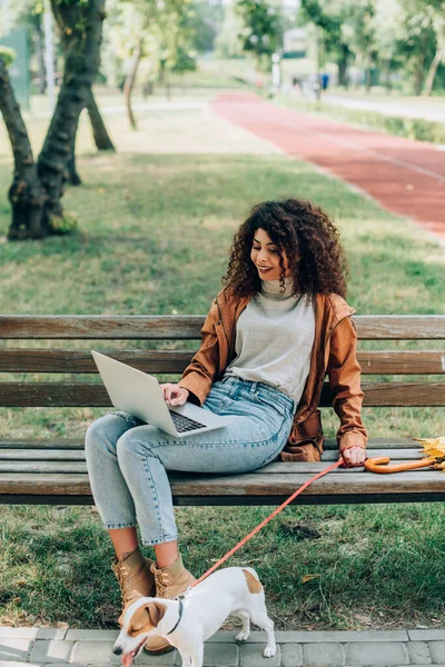 Curly Freelancer Autumn Outfit Using Laptop While Sitting Bench Park — Stock Photo, Image