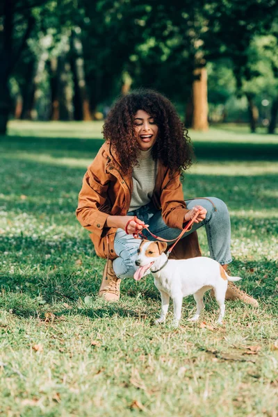 Enfoque Selectivo Mujer Impermeable Con Correa Cerca Jack Russell Terrier —  Fotos de Stock
