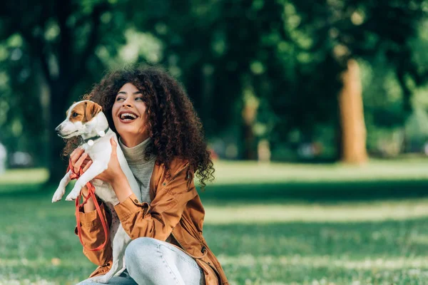 Yağmurluklu kıvırcık kadın parkta Jack Russell Terrier tutuyor. 