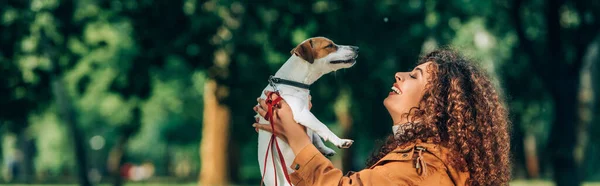 Cabeçalho Site Mulher Segurando Jack Russell Terrier Trela Parque — Fotografia de Stock