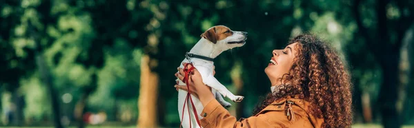 Webbplats Header Kvinna Som Innehar Jack Russell Terrier Och Koppel — Stockfoto