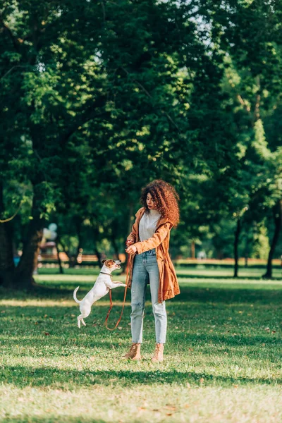 Focus Sélectif Jeune Femme Jouant Avec Jack Sautant Russell Terrier — Photo