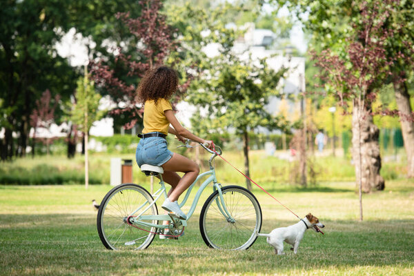 Selective focus of young woman holding jack russell terrier on leash while cycling in park 