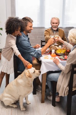 Afro-Amerikan kızı Golden Retriever yakınlarında balkabağı tutarken aile Şükran Günü 'nü kutluyor.