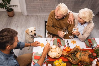 high angle view of golden retriever near family holding glasses of white wine during thanksgiving dinner clipart