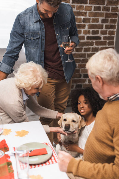 senior woman stroking golden retriever during thanksgiving celebration with multicultural family