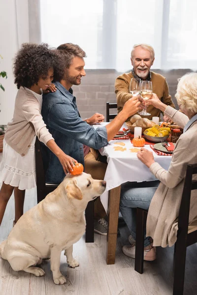 African American Girl Holding Decorative Pumpkin Golden Retriever While Family — Stock Photo, Image