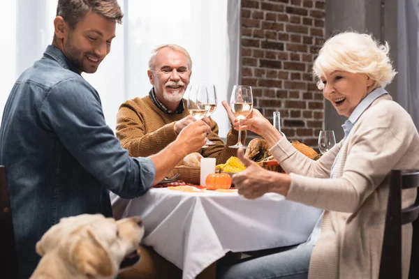 Excited Senior Woman Showing Thumb While Looking Golden Retriever Thanksgiving — Stock Photo, Image