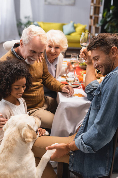 selective focus of golden retriever near multicultural family celebrating thanksgiving day