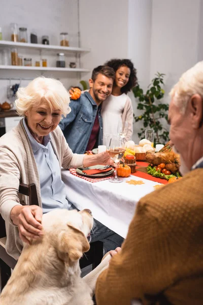 Selective Focus Joyful Senior Woman Stroking Golden Retriever Thanksgiving Dinner — Stock Photo, Image