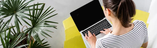 Panoramic Crop Freelancer Using Laptop Blank Screen Stairs Plant Home — Stock Photo, Image