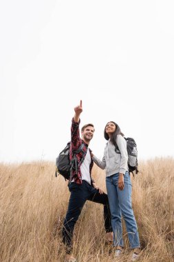 Low angle view of smiling african american tourist standing near boyfriend pointing with finger on grassy hill  clipart