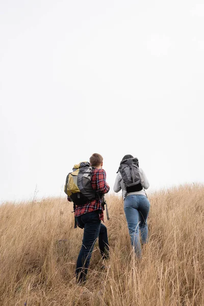 Back View Travelers Backpacks Hiking Grassy Hill Sky Background — Stock Photo, Image