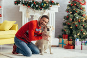 vzrušený muž ve svetru mazlení labrador poblíž zdobené vánoční stromeček 