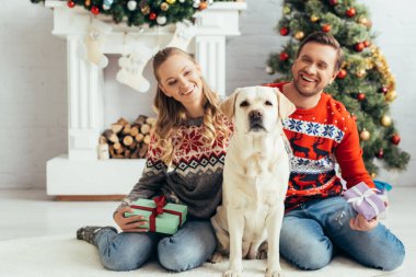 Mutlu çift hediyeler alıp köpek ve Noel ağacının yanında oturuyorlar. 