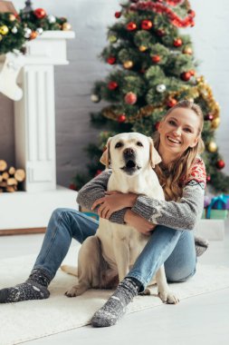Süveterli mutlu kadın yerde Labrador 'la Noel ağacının yanında oturuyor. 
