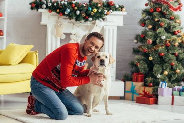 Süveter giyen heyecanlı adam süslenmiş yılbaşı ağacının yanında Labrador 'a sarılıyor. 