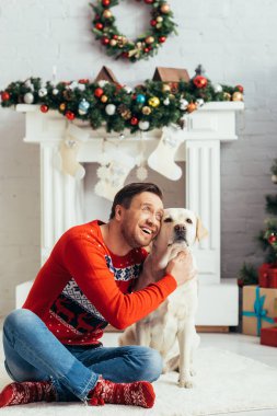 Süveter giyen mutlu adam Labrador 'a sarılıyor ve Noel' de evine bakıyor.