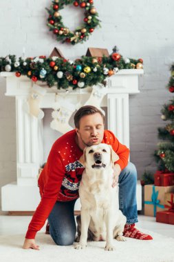 Süveter giyen komik bir adam dekore edilmiş bir dairede Labrador 'a sarılıyor, Noel konsepti. 