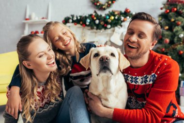 Süveterli mutlu bir aile, yılbaşı süslemelerinin yanında Labrador 'a bakıyor. 