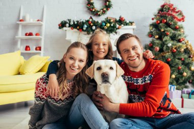 Labrador 'un yanında süveter içinde mutlu bir aile ve süslü Noel ağacı. 