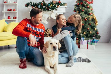Mutlu ebeveynler süveter içinde Labrador 'a sarılıyor ve Noel ağacını süslüyor.