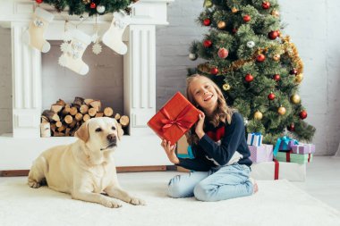 Sıcak kazaklı neşeli çocuk Labrador 'un yanında oturuyor ve dekore edilmiş oturma odasında hediyesini tutuyor, Noel konsepti. 