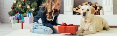 Süveterli, Labrador 'un yanında oturan ve Noel hediyesini dekore edilmiş oturma odasında, pankartta tutan neşeli çocuk.